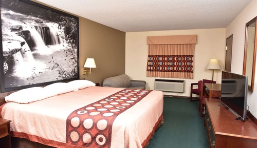 Room, 1 King Bed, Non Smoking