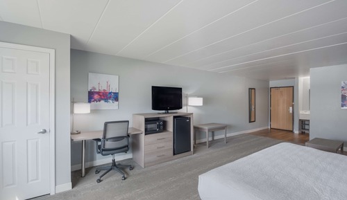 Suite, 1 King Bed, Non Smoking, Refrigerator & Microwave (with Sofabed)