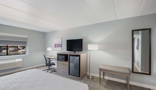 Suite, 1 King Bed, Accessible, Refrigerator & Microwave (Walk-in Shower)