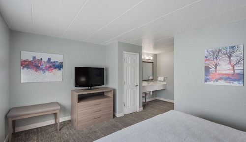 Suite, 1 King Bed, Non Smoking, Refrigerator & Microwave (Larger Room;with Sofabed)