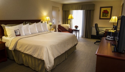 Standard Room, 1 King Bed