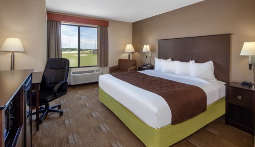 Room, 1 King Bed, Non Smoking (Pet Friendly)