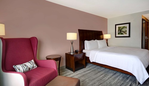 Room, 1 King Bed