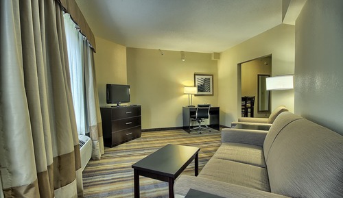 Suite, 1 King Bed with Sofa bed