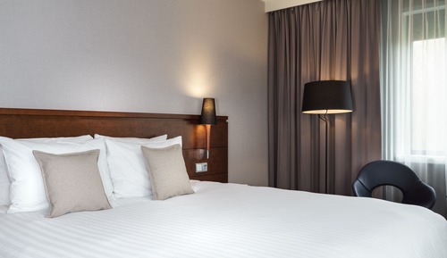 Deluxe Room, 1 King Bed, Non Smoking