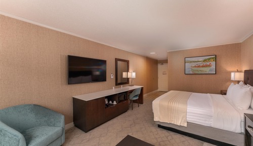 Standard Room, 1 King Bed, Non Smoking (with Sofabed)