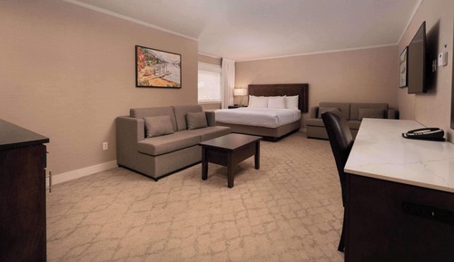Standard Studio, 1 King Bed, Non Smoking, Kitchenette (with Sofabed)