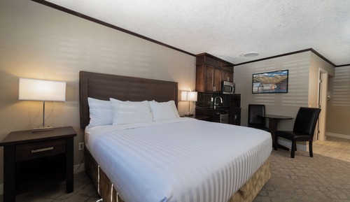 Standard Studio, 1 King Bed, Non Smoking, Kitchenette