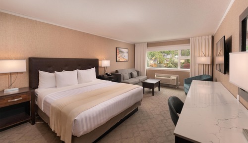 Standard Room, 1 King Bed, Accessible, Non Smoking