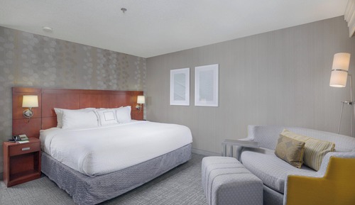 Room, 1 King Bed with Sofa bed (Hearing Accessible)
