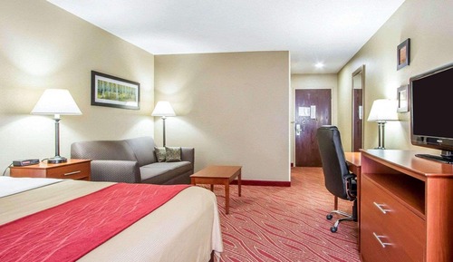 Standard Room, 1 King Bed, Non Smoking