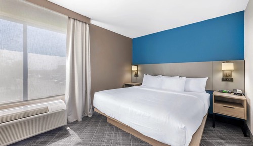 Room, 1 King Bed (1-Person Sofabed)