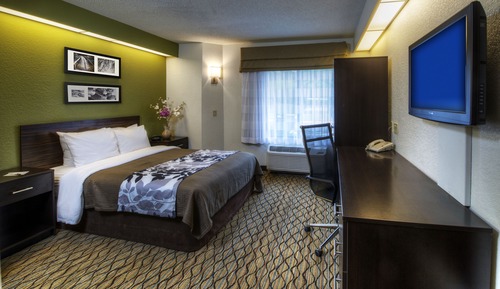 Room, 1 Queen Bed, Accessible, Non Smoking