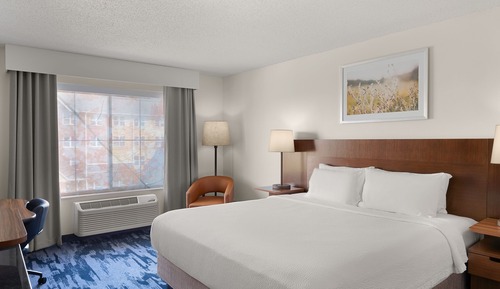 Room, 1 King Bed (Mobility/Hearing Accessible, Tub)