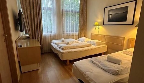Basic Triple Room