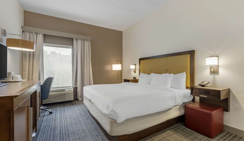 Standard Room, 1 King Bed, Non Smoking