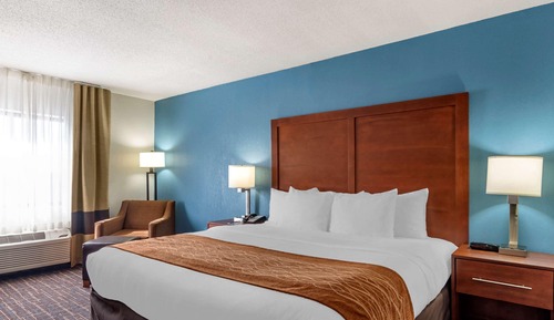 Standard Room, 1 King Bed, Non Smoking