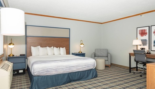 Suite, 1 King Bed, Non Smoking (One-Bedroom)