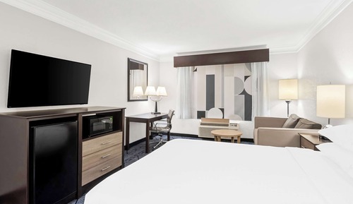 Standard Room, 1 Queen Bed, Non Smoking, Refrigerator & Microwave (with Sofabed)