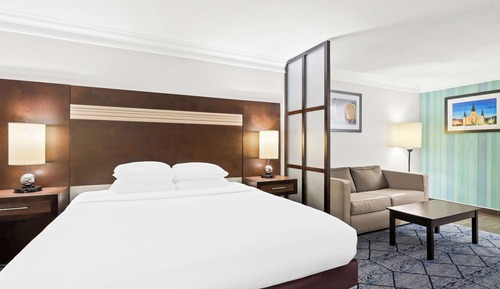 Suite, 1 King Bed, Non Smoking, Refrigerator & Microwave (with Sofabed)