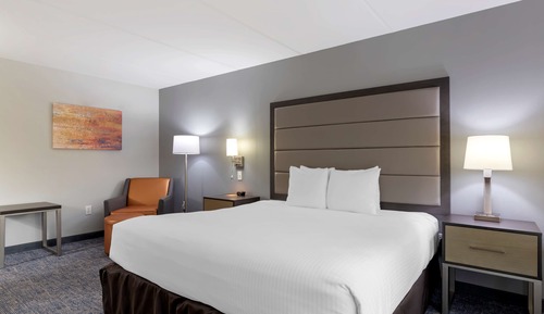 Standard Room, 1 King Bed, Accessible, Refrigerator & Microwave (Walk-in Shower)