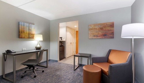 Standard Room, 1 King Bed, Non Smoking, Refrigerator & Microwave