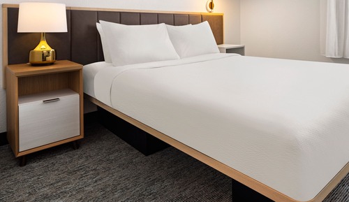 Studio, 1 Queen Bed with Sofa bed (Mobility/Hearing Access, Roll-In Shwr)