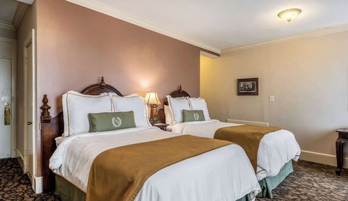 Standard Double Room, 2 Double Beds, Non Smoking