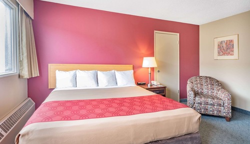 Room, 1 King Bed, Non Smoking