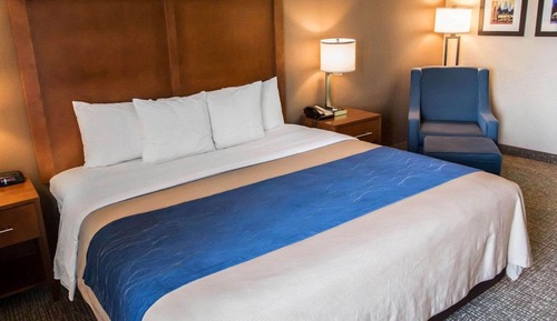 Standard Room, 1 King Bed, Accessible, Non Smoking (Roll-In Shower)