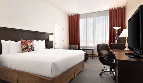 Signature Room, 1 King Bed, Non Smoking