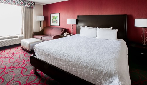 Room, 1 King Bed, Accessible (Roll-in Shower)