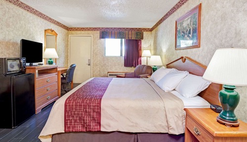Room, 1 King Bed, Non Smoking