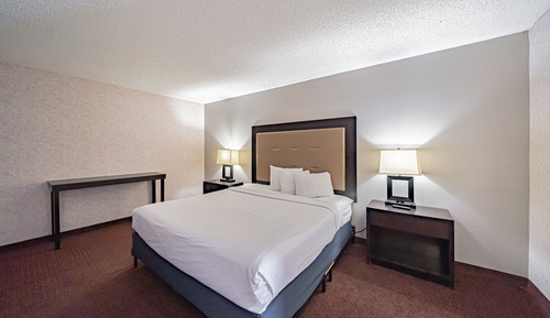 Standard Room, 1 King Bed, Non Smoking