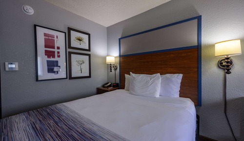 Room, 1 Queen Bed, Non Smoking (Pet-Friendly)