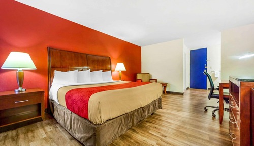Standard Room, 1 King Bed, Non Smoking