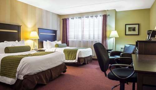 Standard Room, 2 Double Beds, Non Smoking
