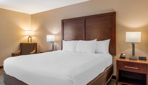 Standard Room, 1 King Bed, Non Smoking