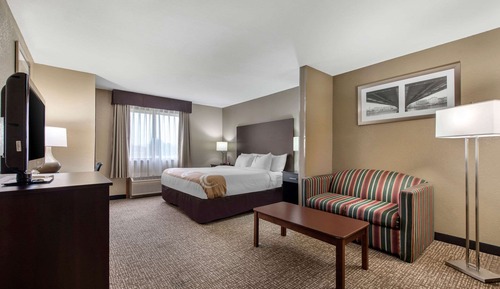 Suite, 1 King Bed with Sofa bed, Non Smoking, Jetted Tub (1 Person Sofa Bed)