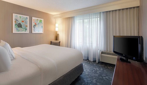 Suite, 1 King Bed with Sofa bed (Hearing Accessible)