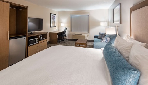 Standard Room, 1 King Bed, Non Smoking, Refrigerator & Microwave (with Sofabed)