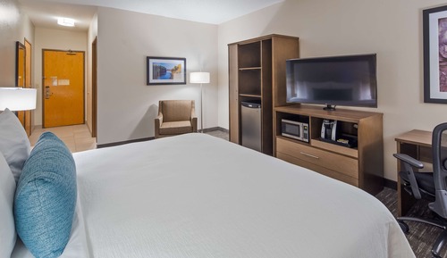 Standard Room, 1 King Bed, Accessible, Refrigerator & Microwave