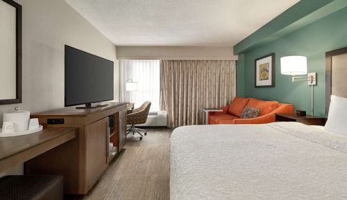 Room, 1 King Bed with Sofa bed