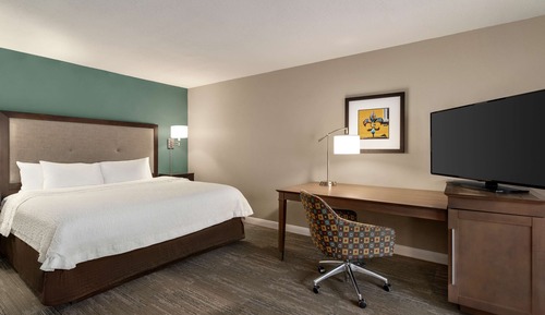 Junior Suite, 1 King Bed, Jetted Tub (with Sofa Sleeper)
