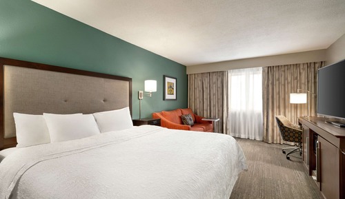 King Study with Sofa bed, St. Charles Ave View