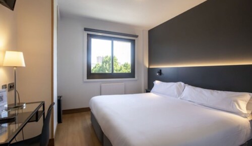 Business Double Room Single Use