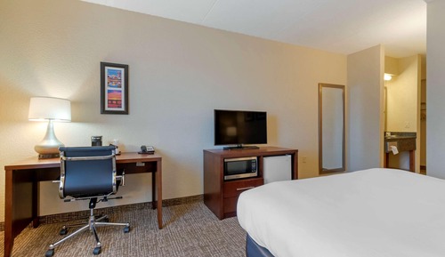 Room, 1 King Bed, Accessible, Non Smoking