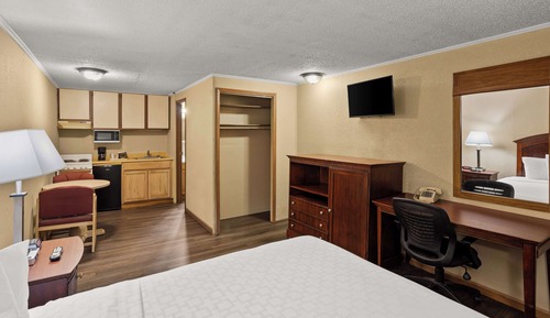Suite, 1 Queen Bed, Smoking, Kitchen