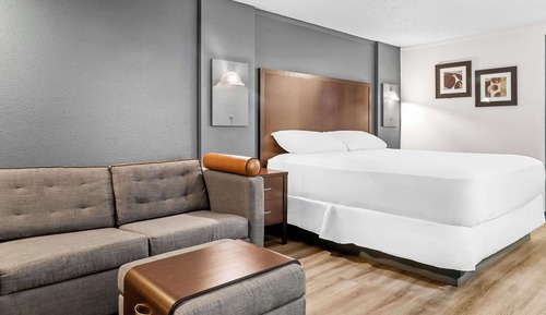 Standard Room, 1 King Bed, Non Smoking