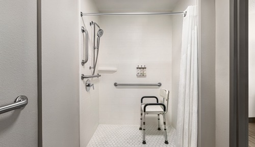 Standard Room, 1 Queen Bed, Roll-in Shower (Communications, Roll-In Shower)